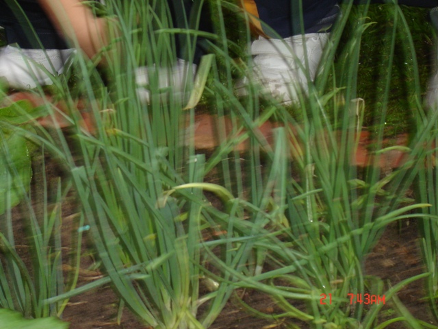 DSC07627.JPG